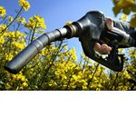 Den Klimawandel bekämpfen