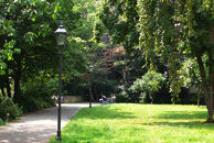 Park