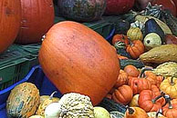 Foto Herbstmarkt
