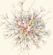 Grafische Darstellung des regionalen Kulturnetzwerks