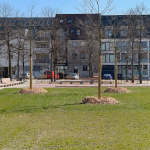 Jamnitzerplatz Platzgestaltung Pflanzen