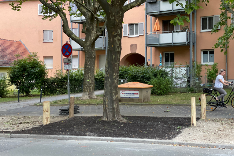 Leipziger Straße - Sanierter Baumstandort