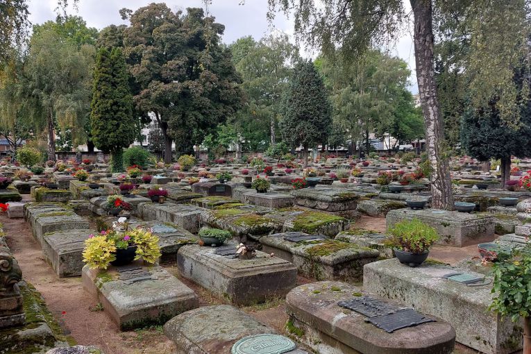 Blick über den Rochusfriedhof