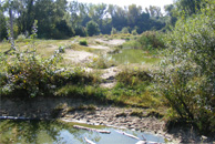 Naturschutzgebiet