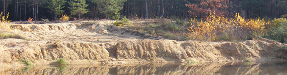 Naturschutzgebiet Sandgruben am Föhrenbuck