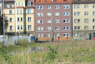 Entwicklung von Brachflächen