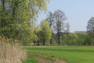 Grünflächen sind Freiräume