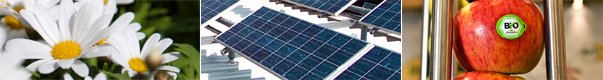 Fotobanner Umweltreferat