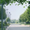 EUROCOM, business park