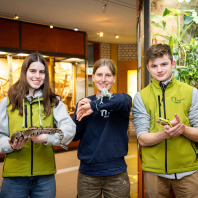 Victoria Zimmermann, Nele Fehling und Ferdinand Schmid (von links) machen ein Freiwilliges Ökologisches Jahr im Tiergarten Nürnberg.