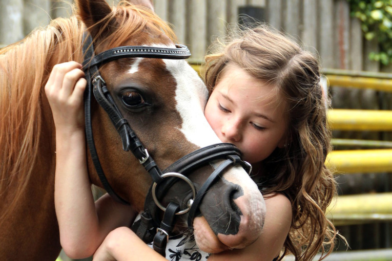 Kleines Mädchen mit einem Pony.