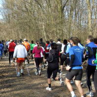 Läufer auf dem Laufparcours im Marienbergpark