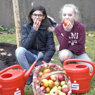 ( Bild: M. Gropper / M. Gropper ) 2017 - Baumpflanzung