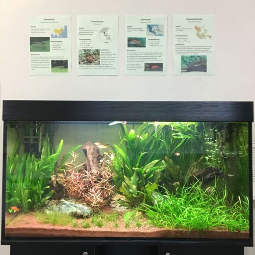 Aquarium © B. Schlemann