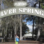 Fairliebt Tasche in Florida/ Silver Springs