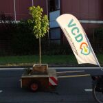 VCD Wanderbaumallee - Modul
