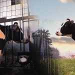 Tierschutz-Unterricht