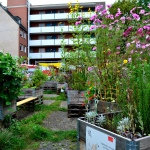 Sebalder Hofgärtchen Urban Gardening Beet