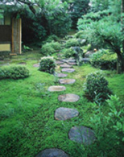 Steinplattenweg im Japangarten