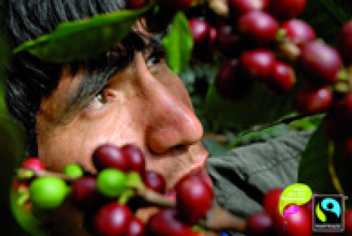 © www.transfair.org Kaffeepflücker © www.transfair.org