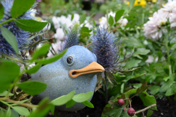 Sebalder Hofgärtchen Urban Gardening Vogel