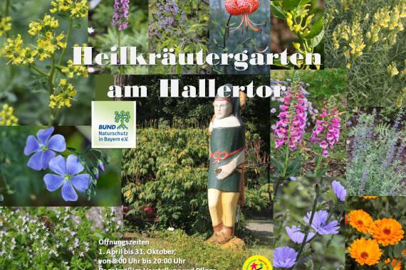 Heilkräutergarten Am Hallertor, Collage