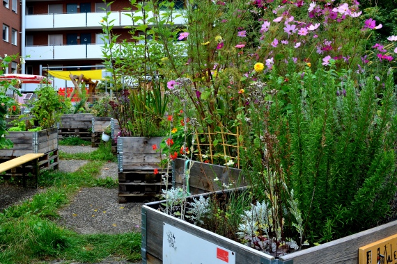 Sebalder Hofgärtchen Urban Gardening Beet