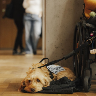 ( Bild: Giulia Iannicelli / Giulia Iannicelli / Stadt Nürnberg )