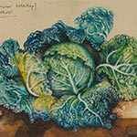 Michael Mathias Prechtl: Holländischer Kohlkopf.