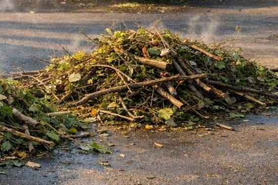 Gartenabfall auf Sammelplatz