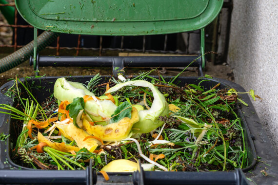 Foto von einer vollen Bio·tonne. In der Bio·tonne ist Bio·müll.