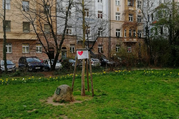 Baum für die Menschenrechte am Kaulbachplatz