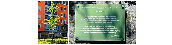 Baum 11 für die Menschenrechte - Evangelisches Siedlungswerk in Bayern