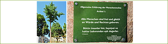 Baum Nr. 32 - Freundeskreis Werderau-Marterlach, Bürgerverein Nürnberg-Werderau, Marterlach und Sandreuth e.V.
