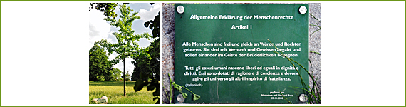 Baum Nr. 38 - Hannelore und Lienhard Barz