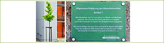 Baum 66 für die Menschenrechte - Evangelische Jugend Nürnberg an der Konrad-Groß-Schule und wbg Nürnberg