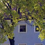 Bäume in der Kunst: Ahorn Blaues Haus