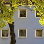 Bäume in der Kunst: Blaues Haus Ahorn