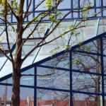 Bäume in der Kunst: Glasfasade