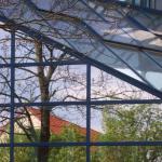 Bäume in der Kunst: Glasfassade
