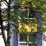 Bäume in der Kunst: Lila Haus Ahorn
