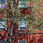 Bäume in der Kunst: Platane Rotes Haus