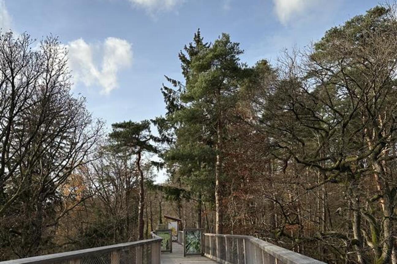 KEiM Preisverleihung 2025, Bild © Bertolt-Brecht-Schule / Stadt Nürnberg