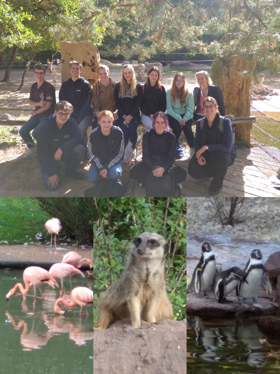 Ausflug Praktikum BON Zoo Prag