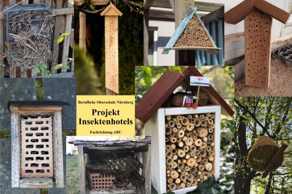 Projekt Insektenhotels