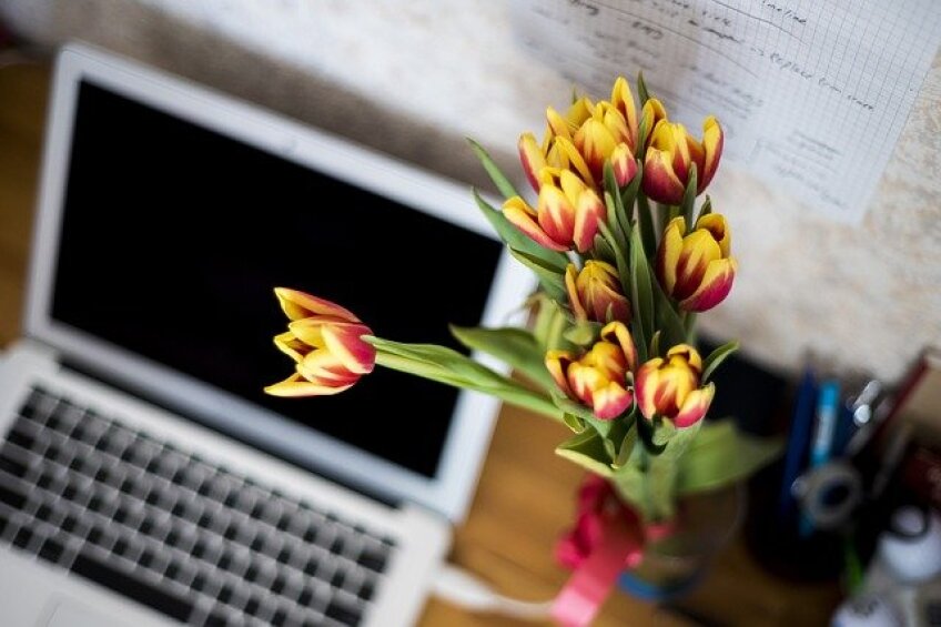 Bild © https://pixabay.com/de/photos/blumen-computer-laptop-tastatur-871685/ / Stadt Nürnberg Sekretariat, Bild © https://pixabay.com/de/photos/blumen-computer-laptop-tastatur-871685/ / Stadt Nürnberg