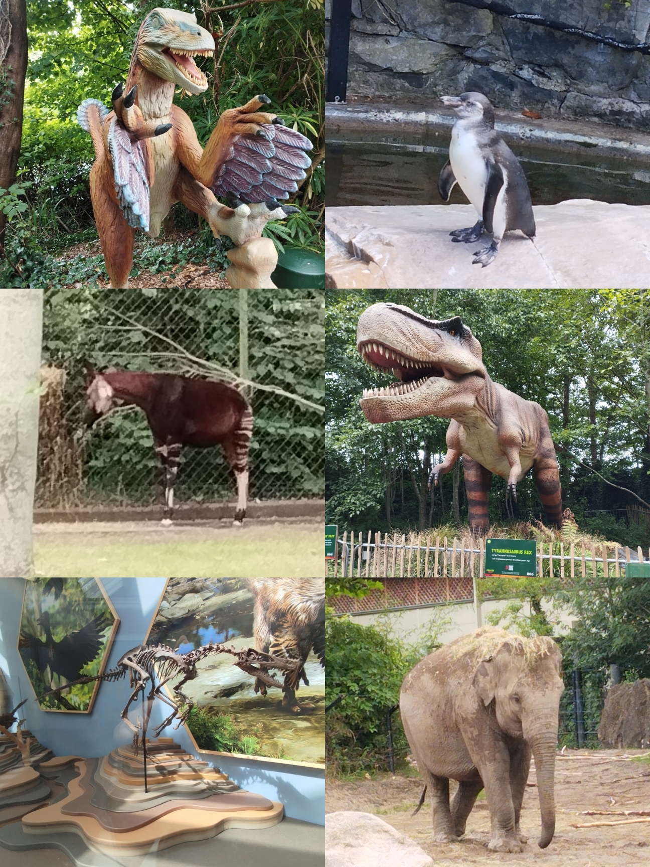 Bild © Mundel Dublinfahrt, Bild © Mundel