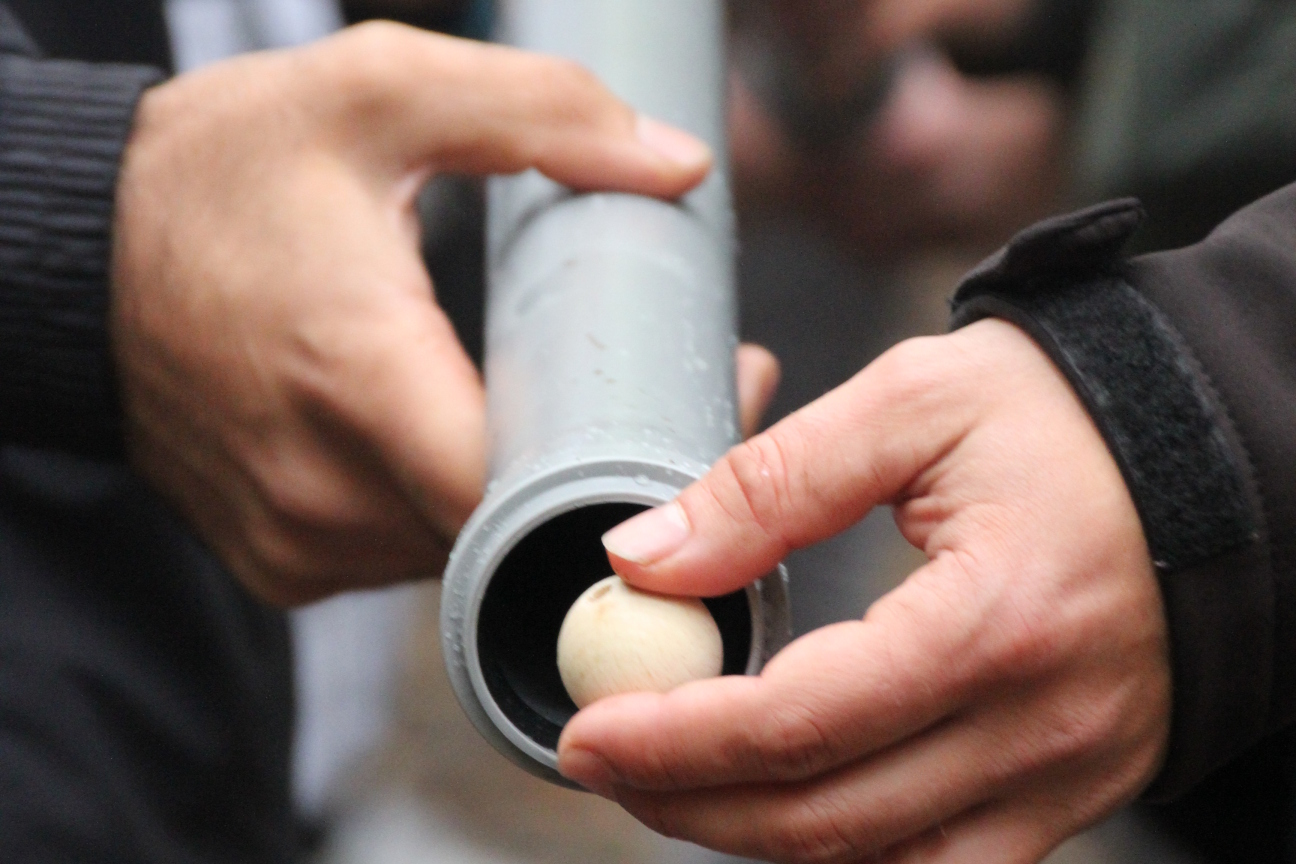 Eine Kugel rollt, Bild © b11