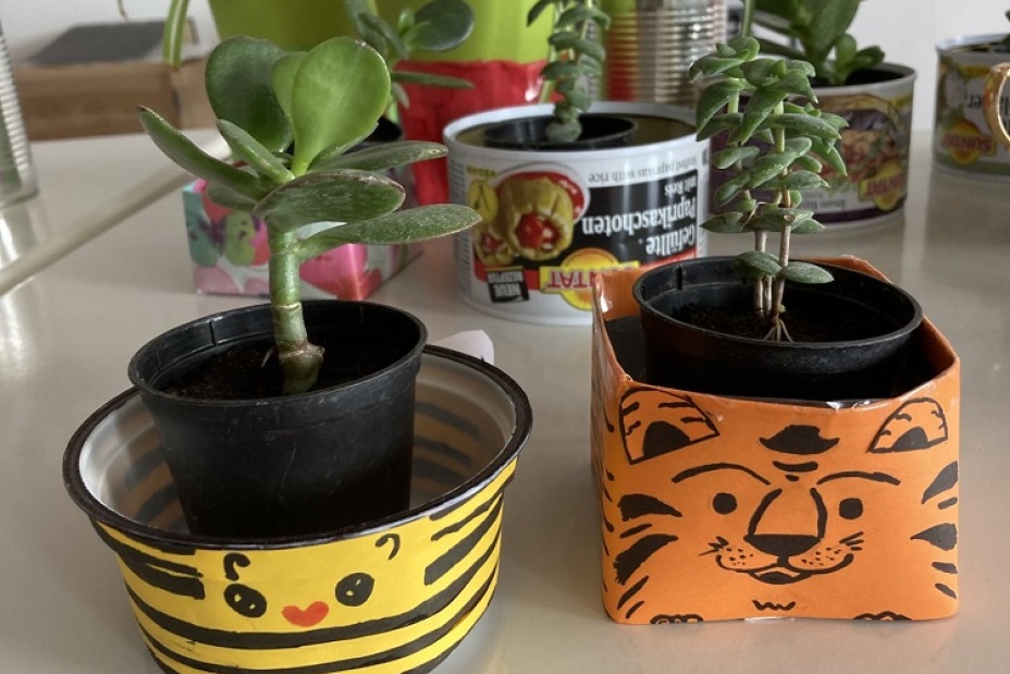 Bild © Berufliche Schule 5 7 Umweltschulenprojekt BIK 24/25, Bild © Berufliche Schule 5