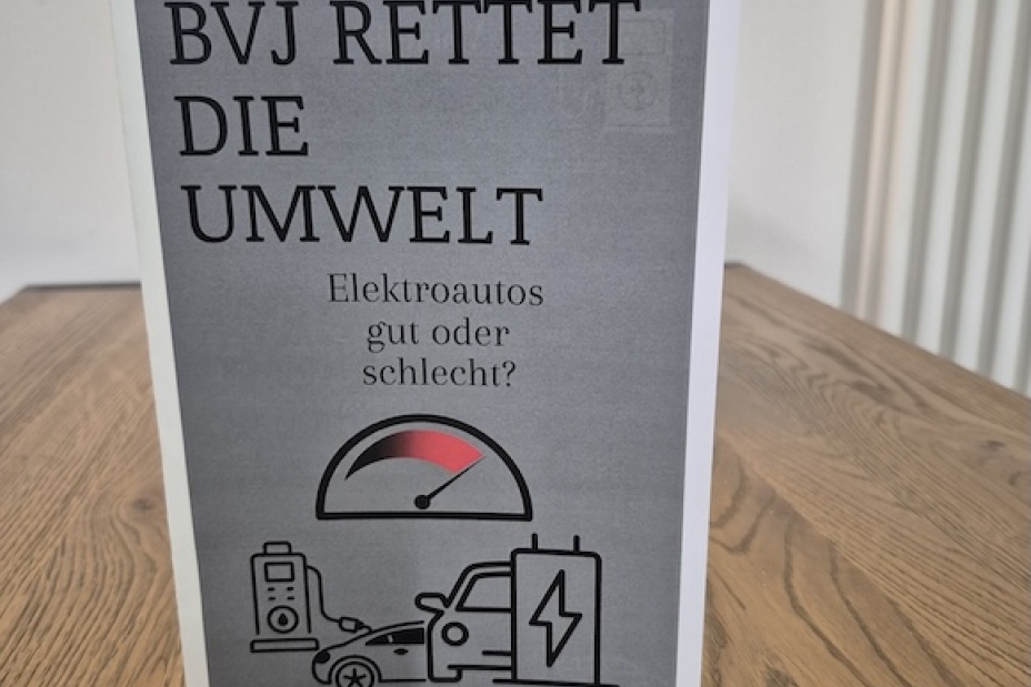 8 Flyer Elektroautos, Bild © Berufliche Schule 5